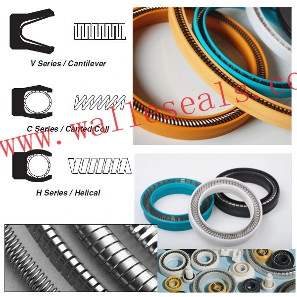 Spring Energized Seal for Diaphragm Metering Pump